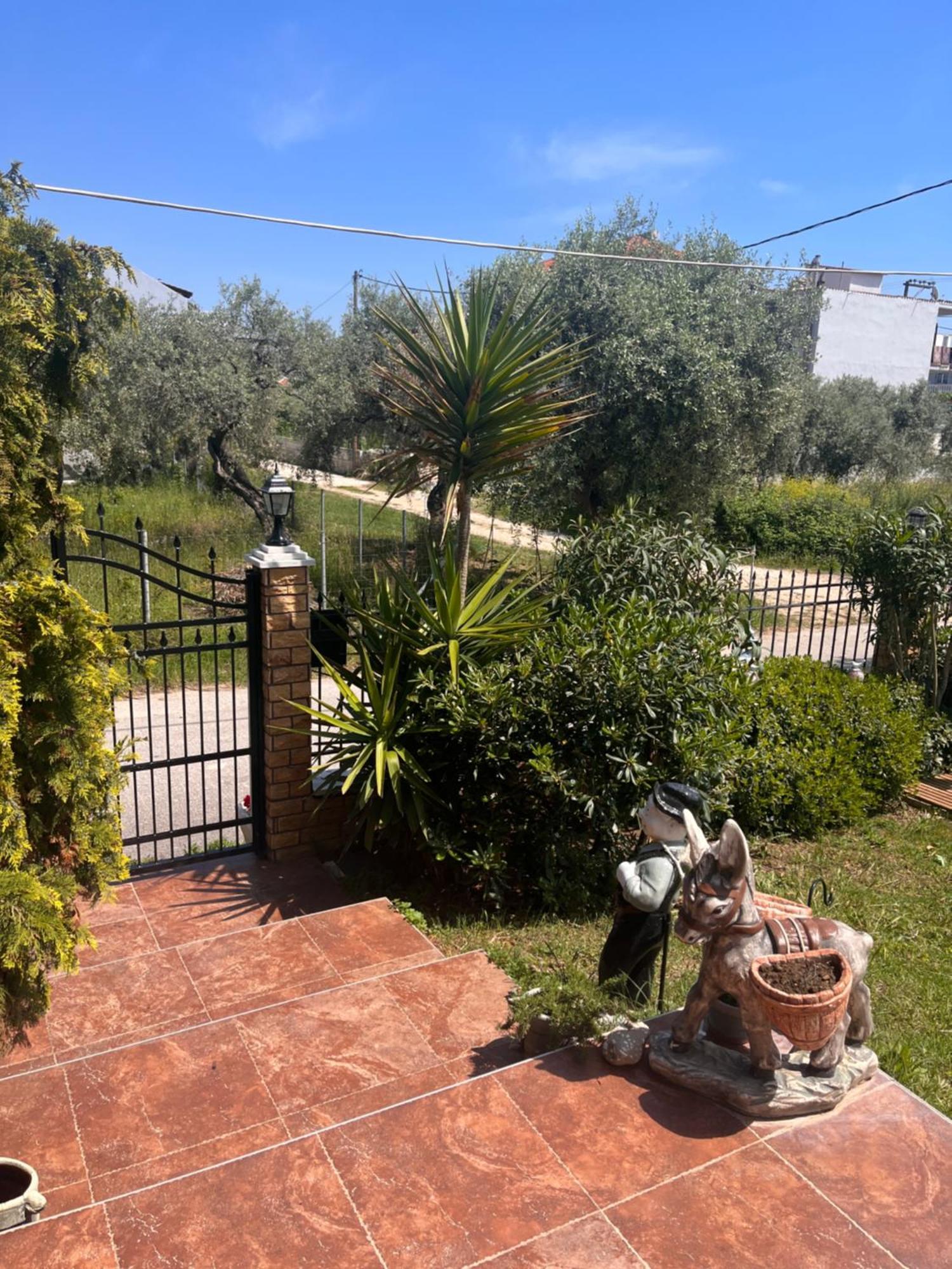 Alrose Apartment Limenaria  Luaran gambar